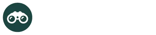 Zona-de-lectura-1